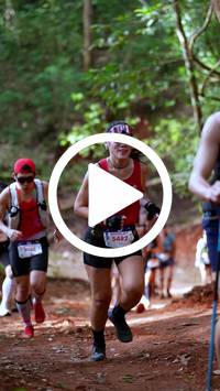 BIB:  <button type="button" onclick="openModal(27383158)" class="btn btn-primary btn-sm float-right" data-toggle="modal" data-target=".modal-high-quality">
                <i class="fa fa-download"></i> Download
                </button>